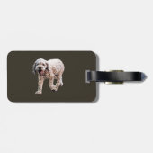 Lagotto Romagnolo Gepäckanhänger (Rückseite horizontal)