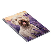 Lagotto Romagnolo in Lavender field Notizblock (Rechte Seite)
