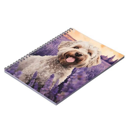 Lagotto Romagnolo in Lavender field Notizblock (Linke Seite)