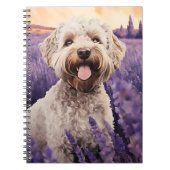 Lagotto Romagnolo in Lavender field Notizblock (Vorderseite)