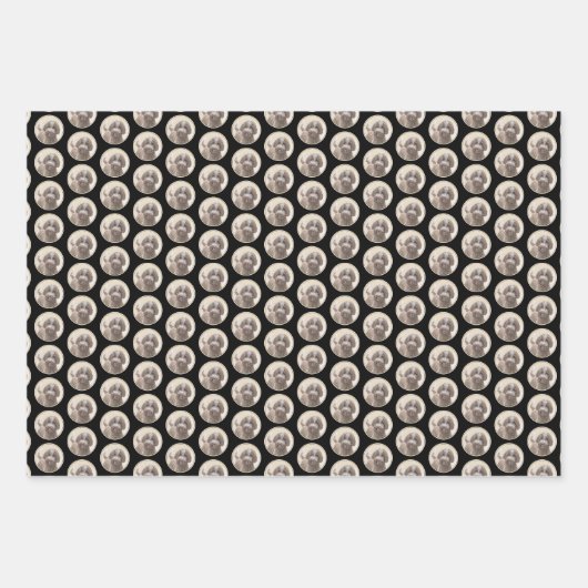 Lagotto Romagnolo Malerei - Niedliche Original Dog Geschenkpapier Set (Vorderseite 3)