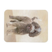 Lagotto Romagnolo Malerei - Niedliche Original Dog Magnet (Horizontal)