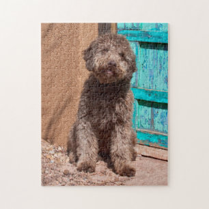 Lagotto Romagnolo wartet an einer blauen Tür Puzzle