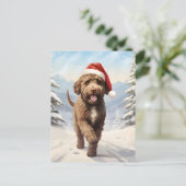 Lagotto Romagnolo Weihnachten (Stehend Vorderseite)