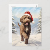 Lagotto Romagnolo Weihnachten (Vorne/Hinten)