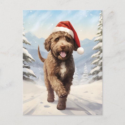 Lagotto Romagnolo Weihnachten (Vorderseite)