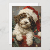 Lagotto Romagnolo Weihnachten (Vorne/Hinten)