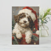 Lagotto Romagnolo Weihnachten (Stehend Vorderseite)