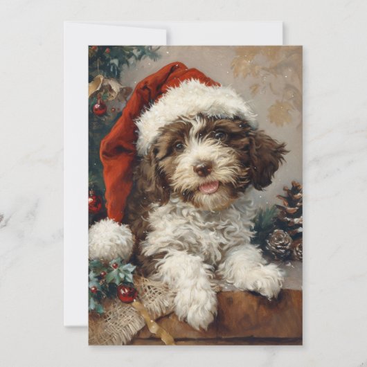 Lagotto Romagnolo Weihnachten (Vorderseite)
