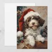 Lagotto Romagnolo Weihnachten (Vorne/Hinten)