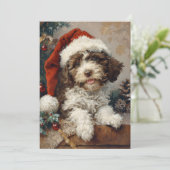 Lagotto Romagnolo Weihnachten (Stehend Vorderseite)