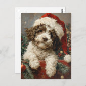 Lagotto Romagnolo Weihnachten Postkarte (Vorne/Hinten)