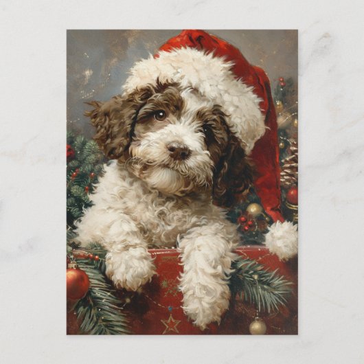 Lagotto Romagnolo Weihnachten Postkarte (Vorderseite)