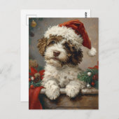 Lagotto Romagnolo Weihnachten Postkarte (Vorne/Hinten)