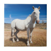 Laguna Azul, Landschaft mit Pferden Fliese (Vorderseite)