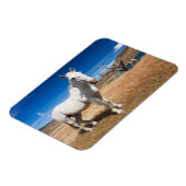 Laguna Azul, Landschaft mit Pferden Magnet (Linke Seite)