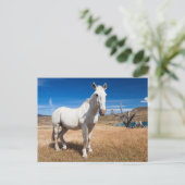 Laguna Azul, Landschaft mit Pferden Postkarte (Stehend Vorderseite)