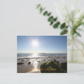 Laguna Beach Ca Postkarte (Stehend Vorderseite)
