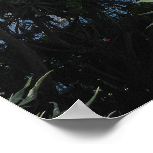 Laguna Beach Ocean View Poster (Ecke)