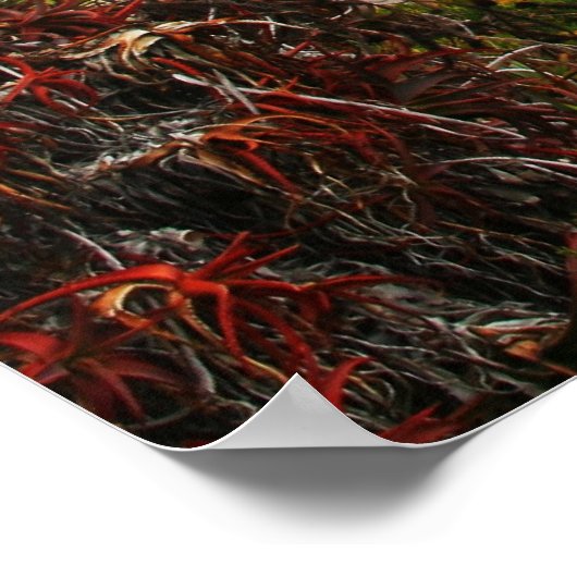 Laguna Beach Poster (Ecke)