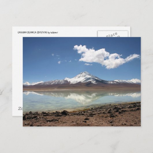 Laguna blanca (Bolivien) Postkarte (Vorne/Hinten)