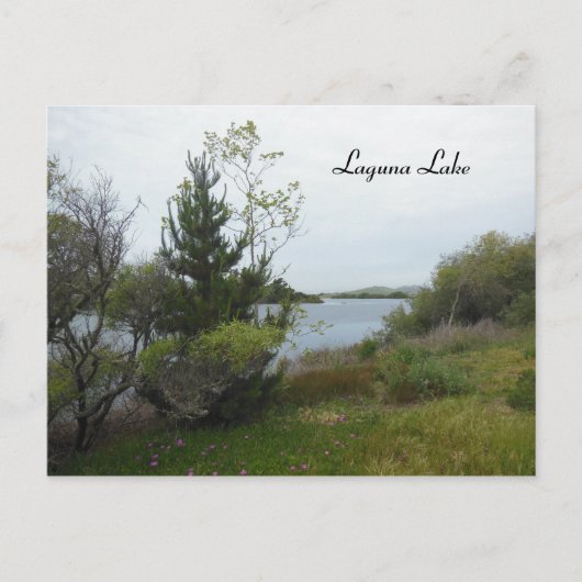 Laguna Lake, San Luis Obispo, nach Rain Postkarte (Vorderseite)