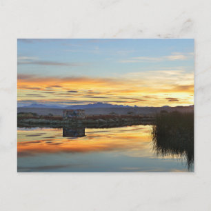 Laguna Nimez Sunset, El Calafate, Argentinien Postkarte