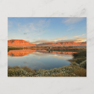 Laguna Nimez Sunset, El Calafate Postkarte