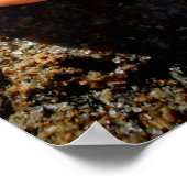 Laguna Sea Muschel auf einem Felsen Poster (Ecke)