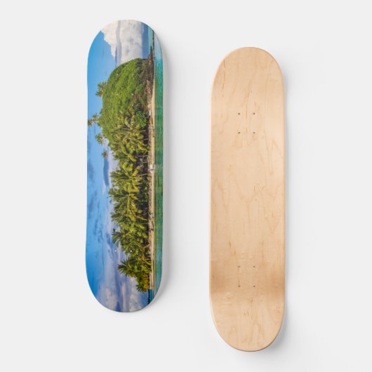 Lagune Bora Skateboard (Vorderseite)