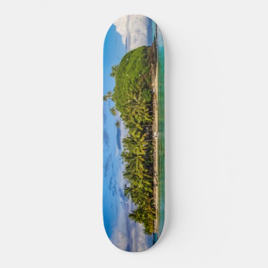 Lagune Bora Skateboard (Vorderseite)