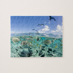 Lagunensafari-Tour mit Stachelrochen Puzzle