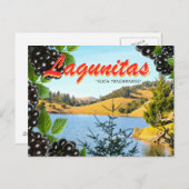 Lagunitas, "Derart Tenderness" (Hass, nimm 2) Postkarte (Vorne/Hinten)