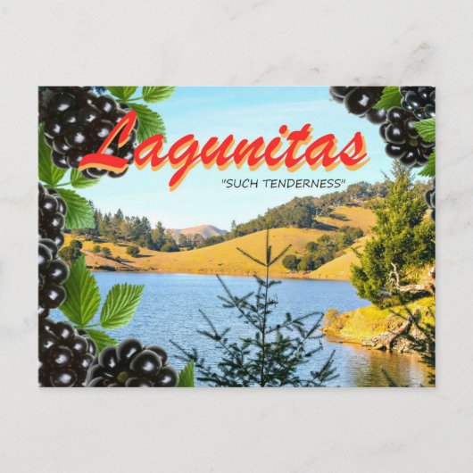 Lagunitas, "Derart Tenderness" (Hass, nimm 2) Postkarte (Vorderseite)