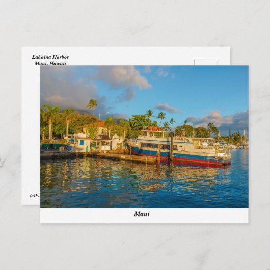 Lahaina Harbor Postcard Postkarte (Vorne/Hinten)