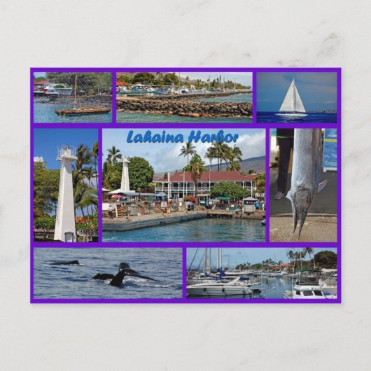 Lahaina Harbor Postkarte (Vorderseite)