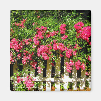 lähmende Rose Magnet