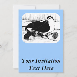 Lahore-Tauben 1980 Einladung