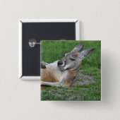 Laid-back Kangaroo Button (Vorne & Hinten)