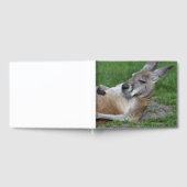Laid-back Kangaroo Gästebuch (Voll)