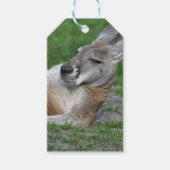 Laid-back Kangaroo Geschenkanhänger (Vorderseite)
