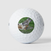 Laid-back Kangaroo Golfball (Vorderseite)