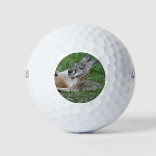 Laid-back Kangaroo Golfball (Vorderseite)