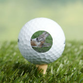 Laid-back Kangaroo Golfball (Insitu T-Shirt)