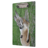 Laid-back Kangaroo Klemmbrett (Links)