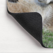 Laid-back Kangaroo Mousepad (Ecke)