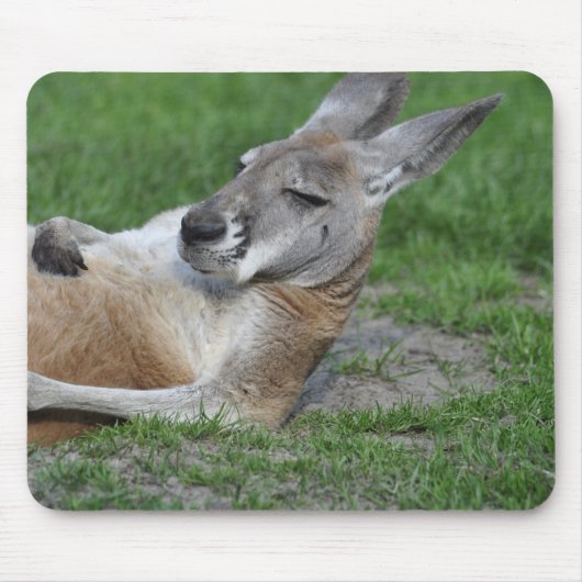 Laid-back Kangaroo Mousepad (Vorne)