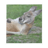 Laid-back Kangaroo Notizblock (Vorderseite)