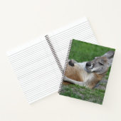 Laid-back Kangaroo Notizblock (Innenseite)