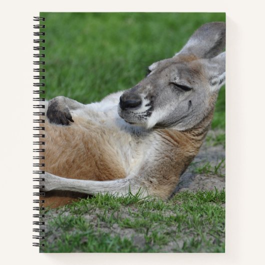 Laid-back Kangaroo Notizblock (Vorderseite)